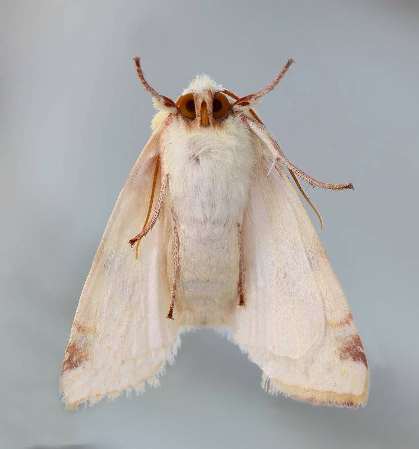 , Сергей Таланов