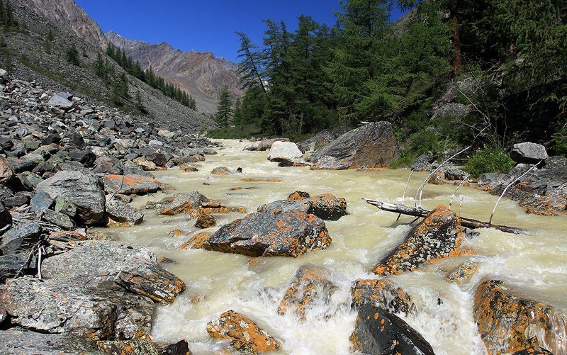 абыл-оюк, горная река, алтай Абыл-Оюк фото превью