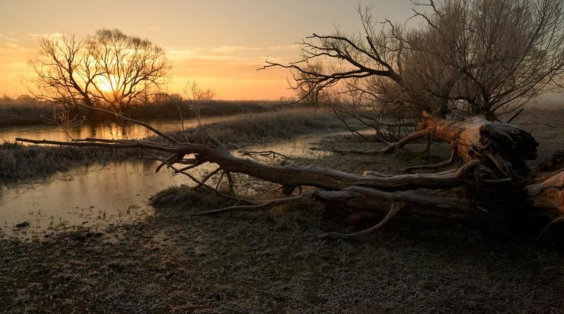 Холодное утро 23-го... фото превью