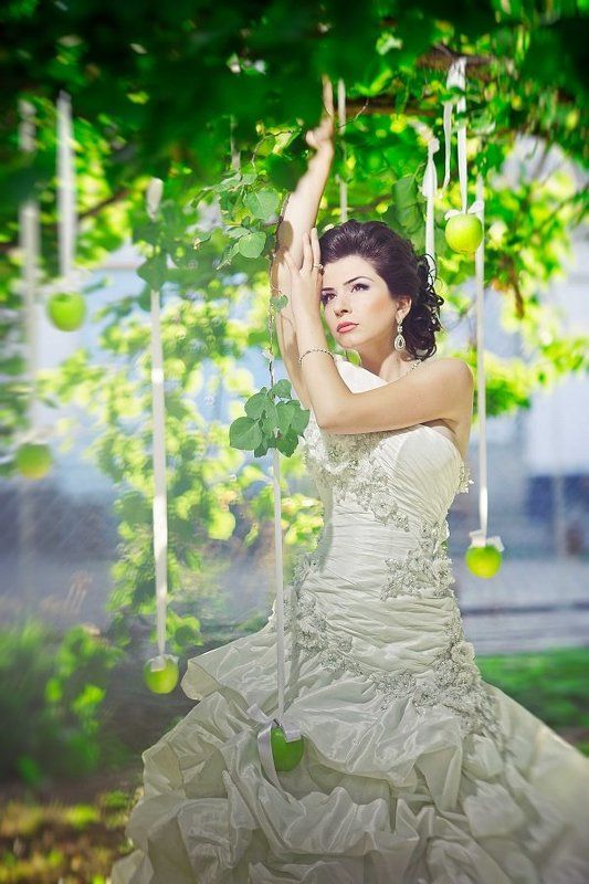 Яблочки фото превью