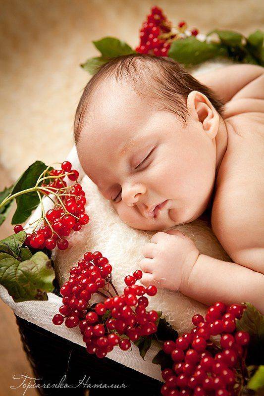 , Наталия Горбаченко