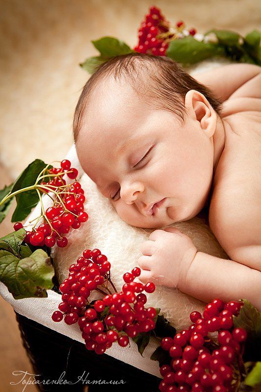 Калиновые сны фото превью