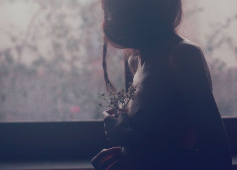 feeling, woman, girl, light, shadows, flowers, mood, evening, hair, window *** фото превью