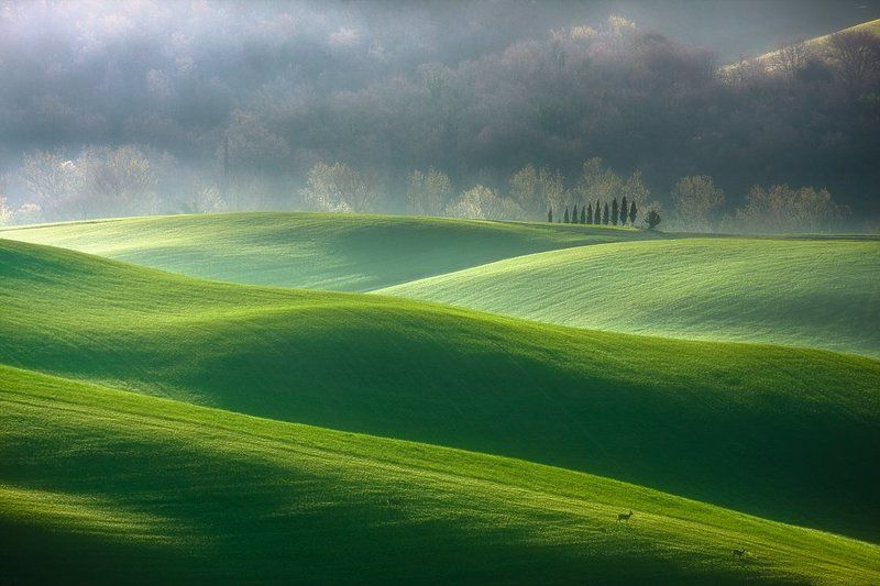 In the morning фото превью