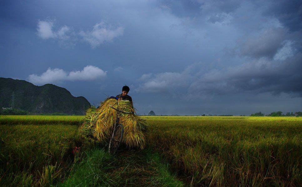 rain, данг туан  tpyнг, frank dang, dang tuan trung, Frank Dang