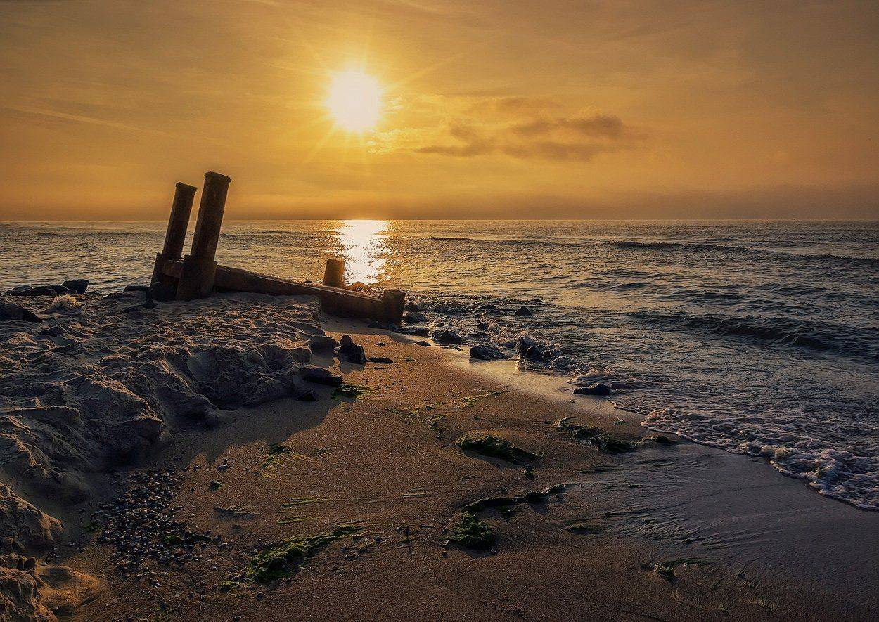 , Игорь Мелекесцев