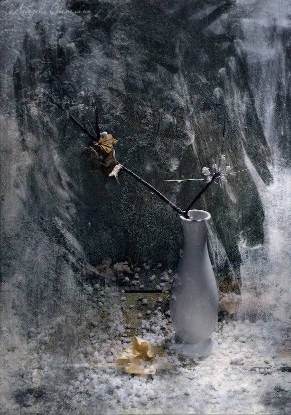 натюрморт, Светлана Л.