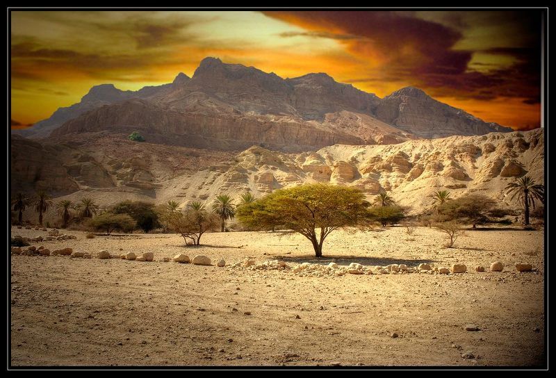 пустыня, негев Оазисв пустыне фото превью