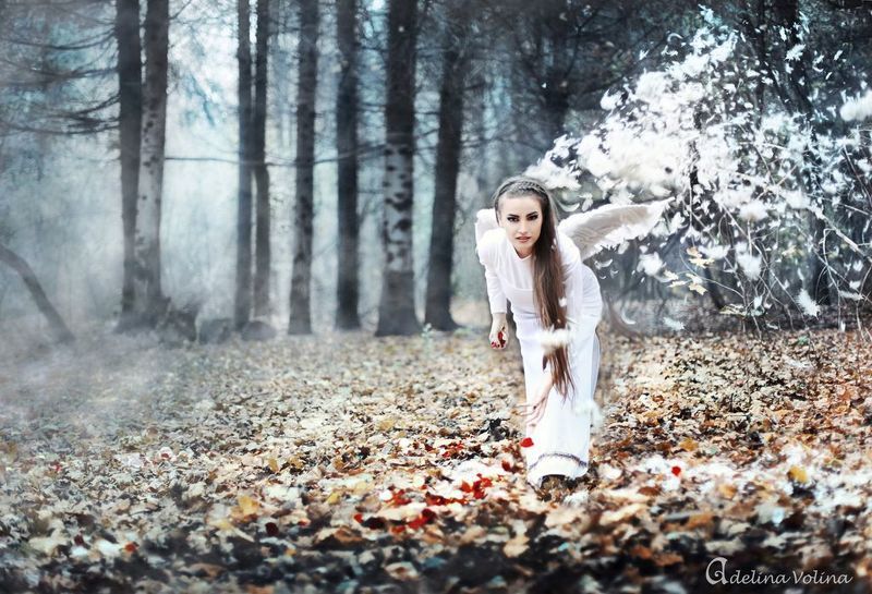 Sinfonia фото превью