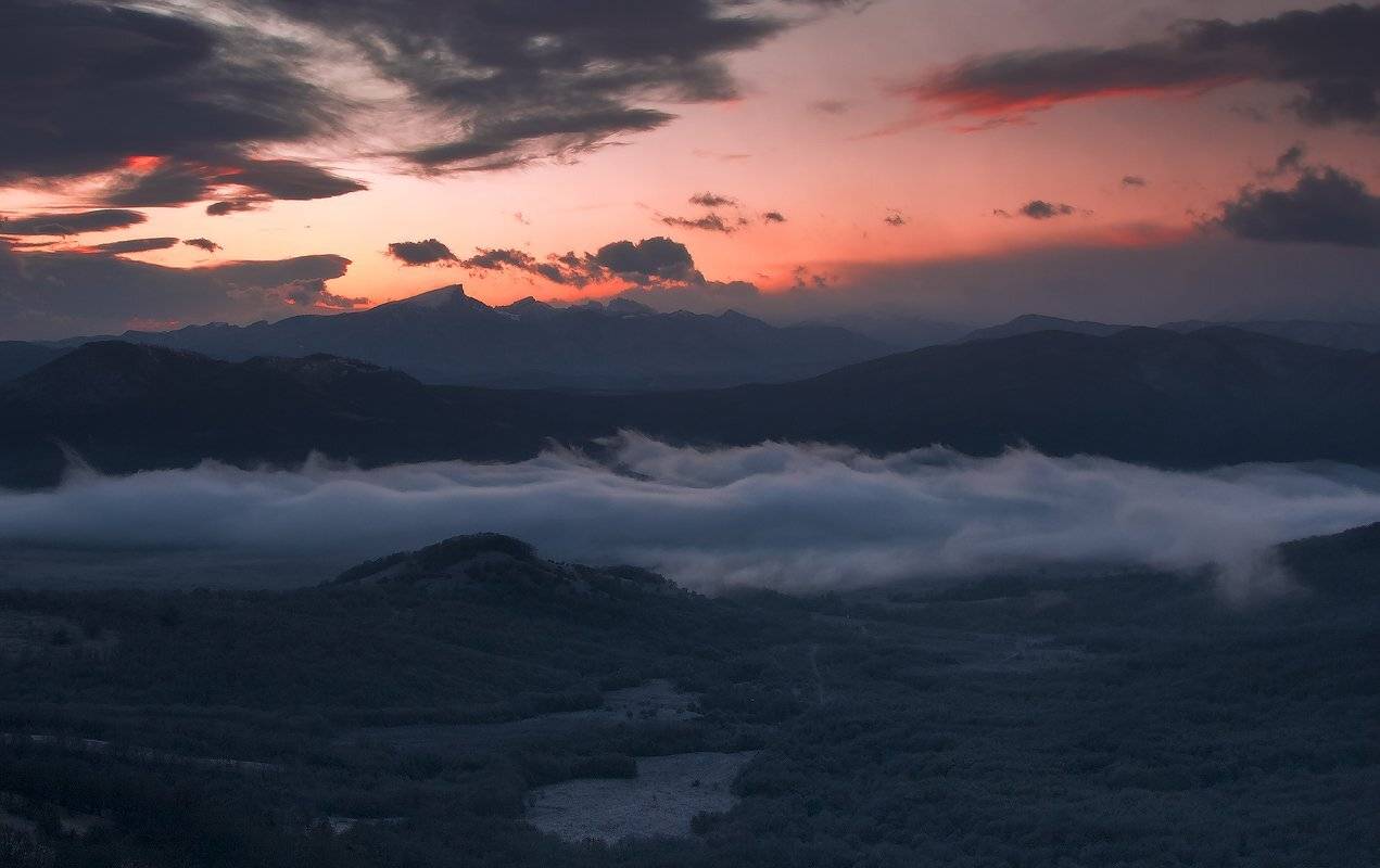 , Ирина Заграничная