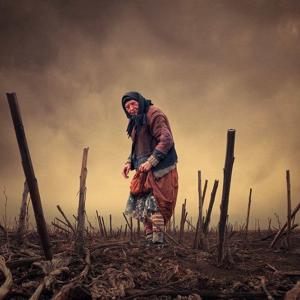 , Caras Ionut