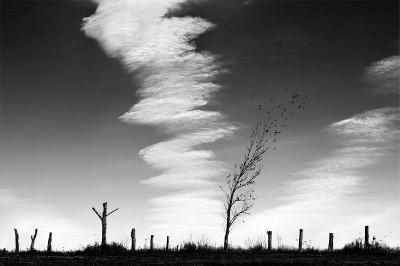 Last days of November фото превью