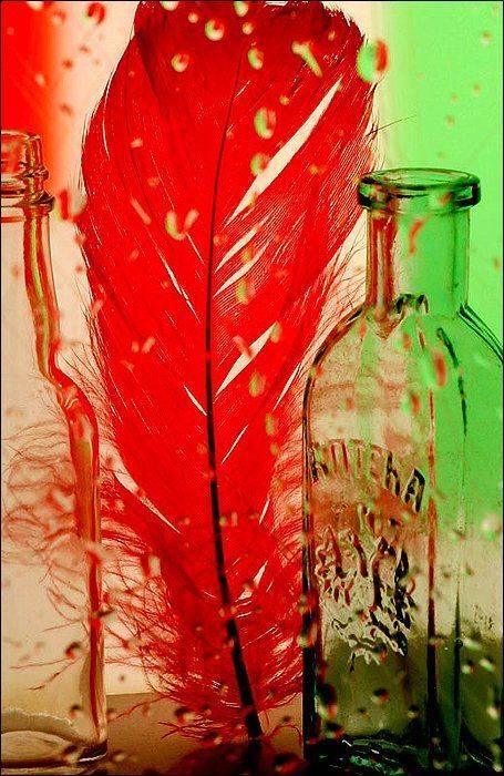 перо, красное перо, капли, бутылка,, Victor Pechenev