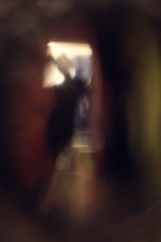 one step фото превью