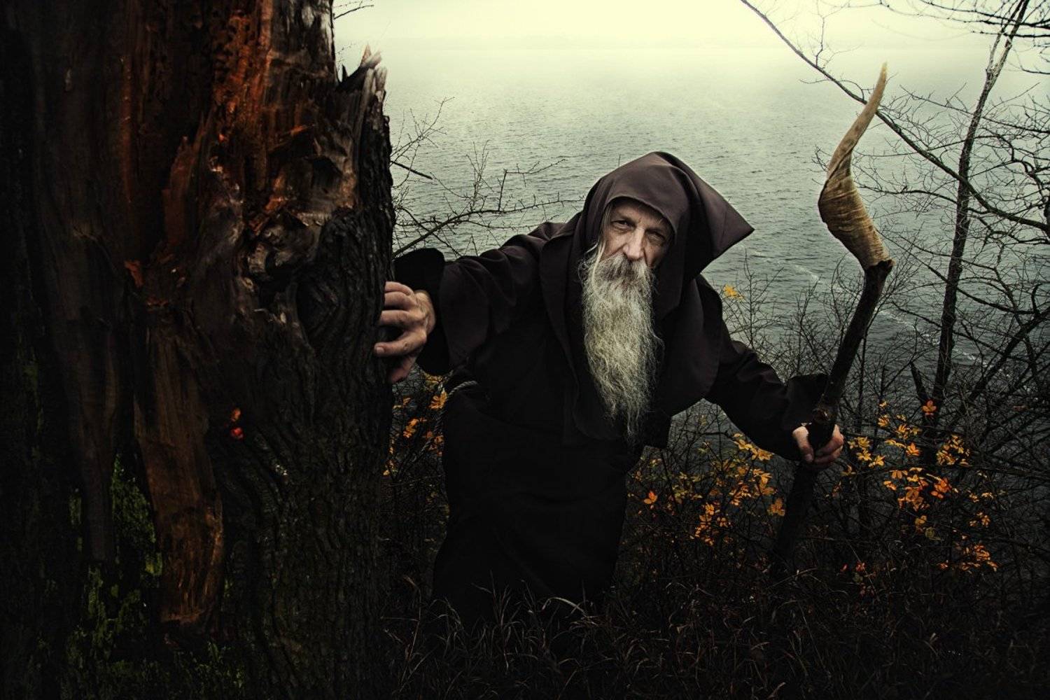 color, man, people, human, portrait, stich, old, mood, tree,, Rafał Kurs