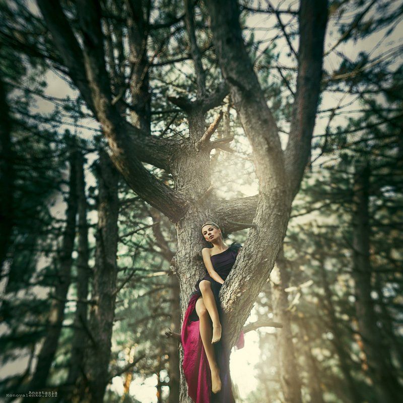 *** фото превью