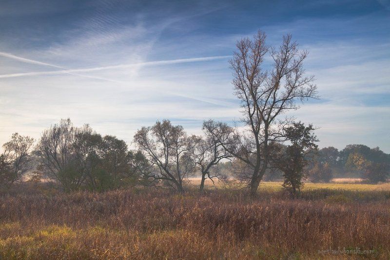 morning, river by the river фото превью