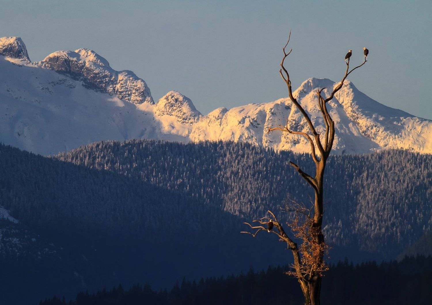 , ГеннадийАлексеич