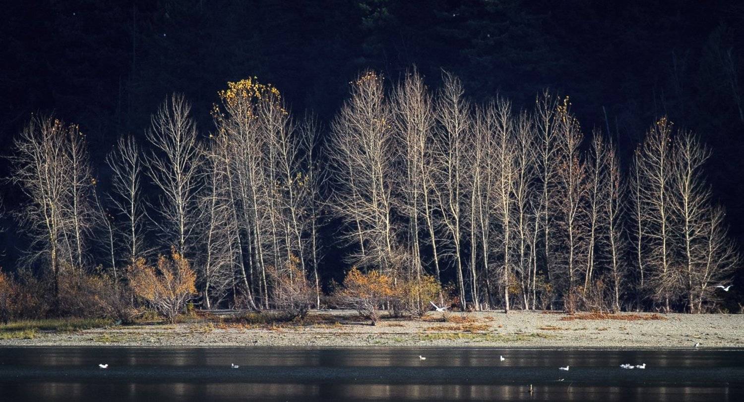 , ГеннадийАлексеич