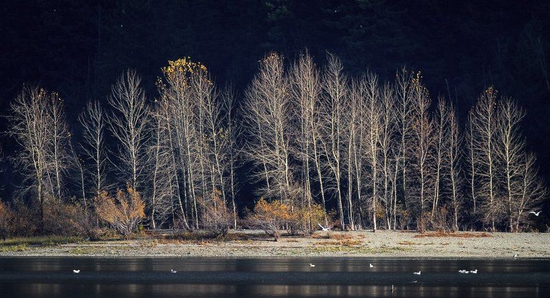 Обнажённые осенью фото превью