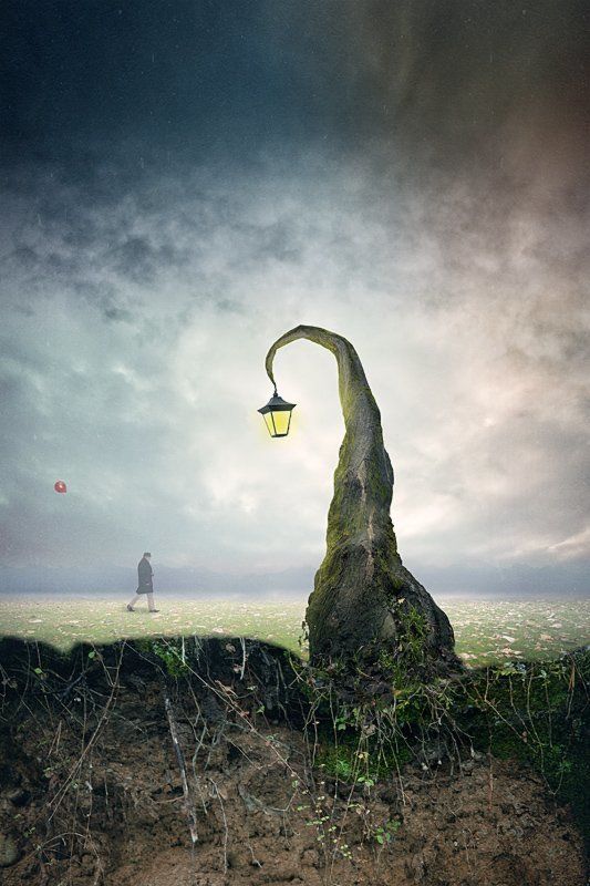 walking 2 фото превью