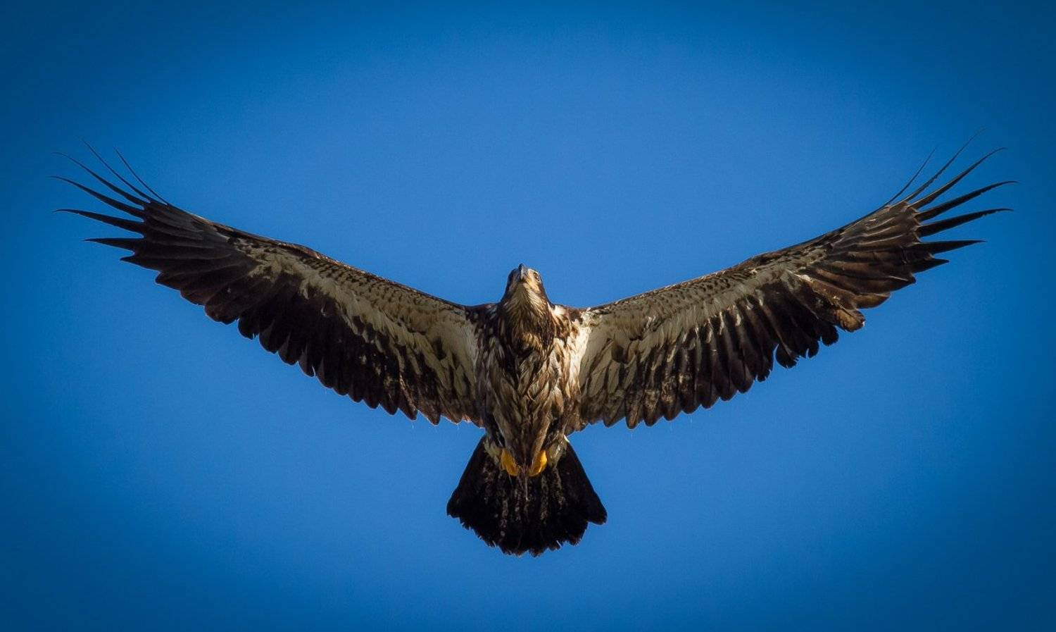 , ГеннадийАлексеич