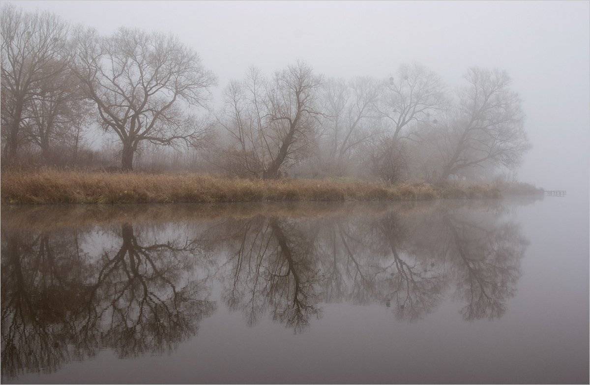 , Николай Шахманцир