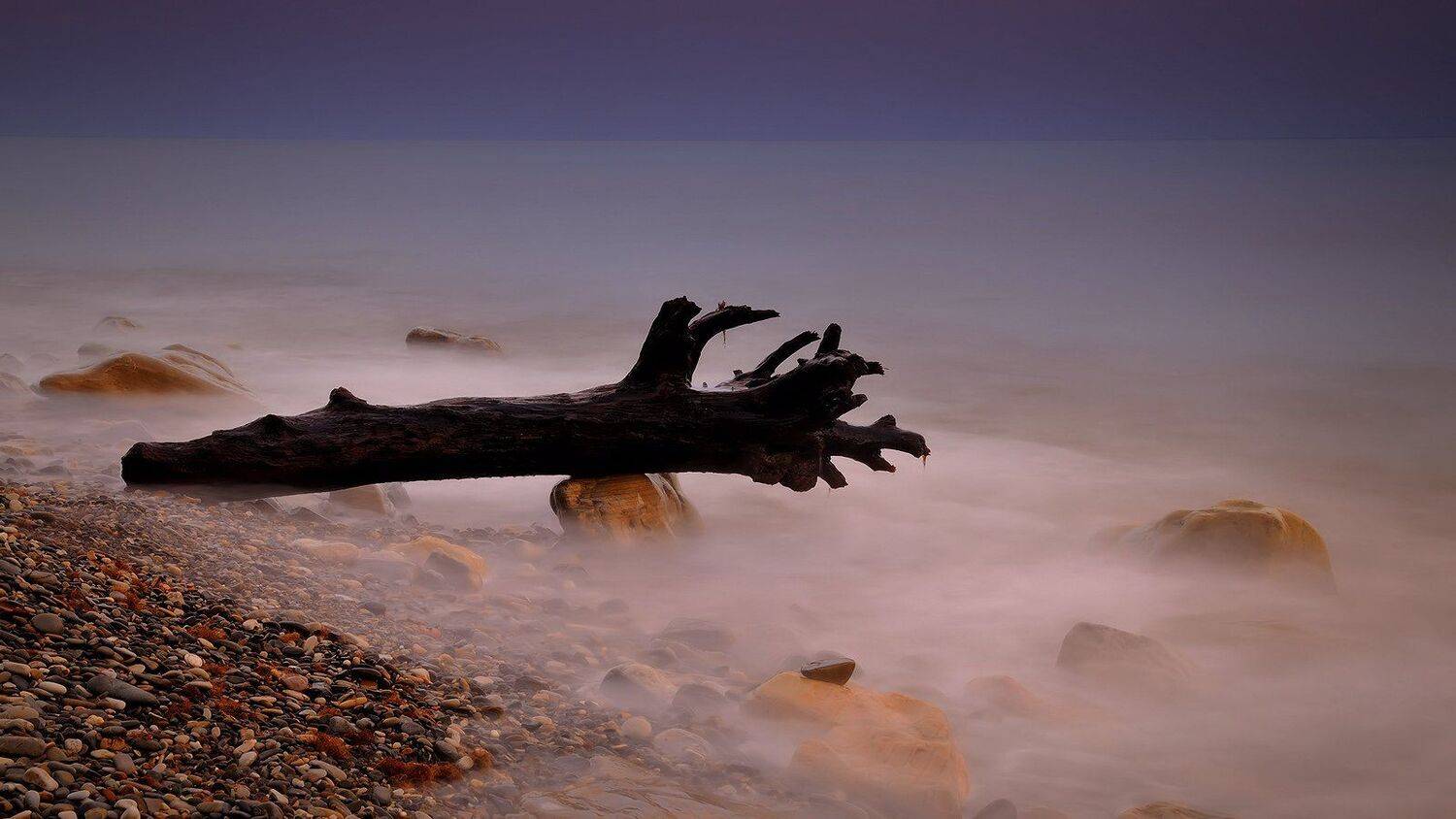 море, прибой, камни, коряга, Serj Master