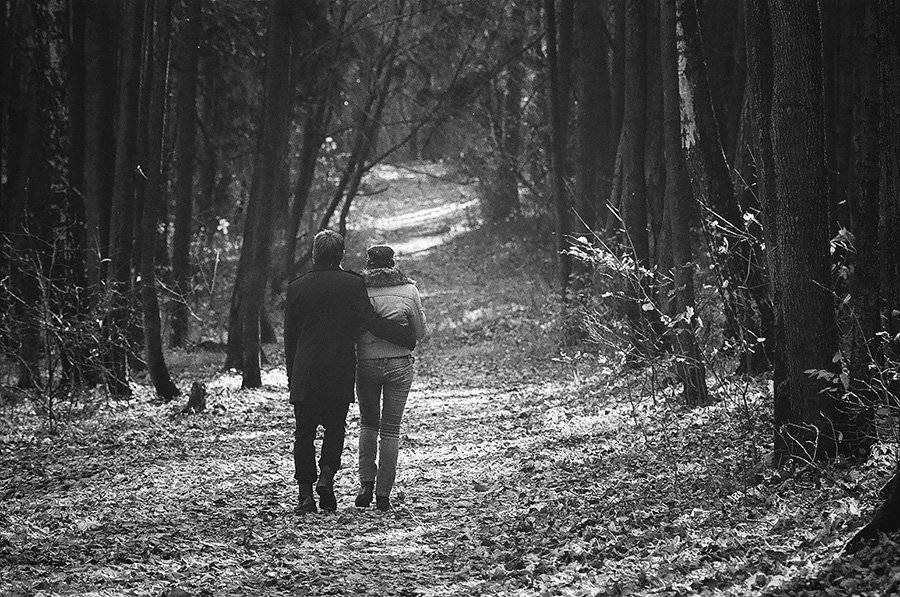 , Дмитрий Лыков