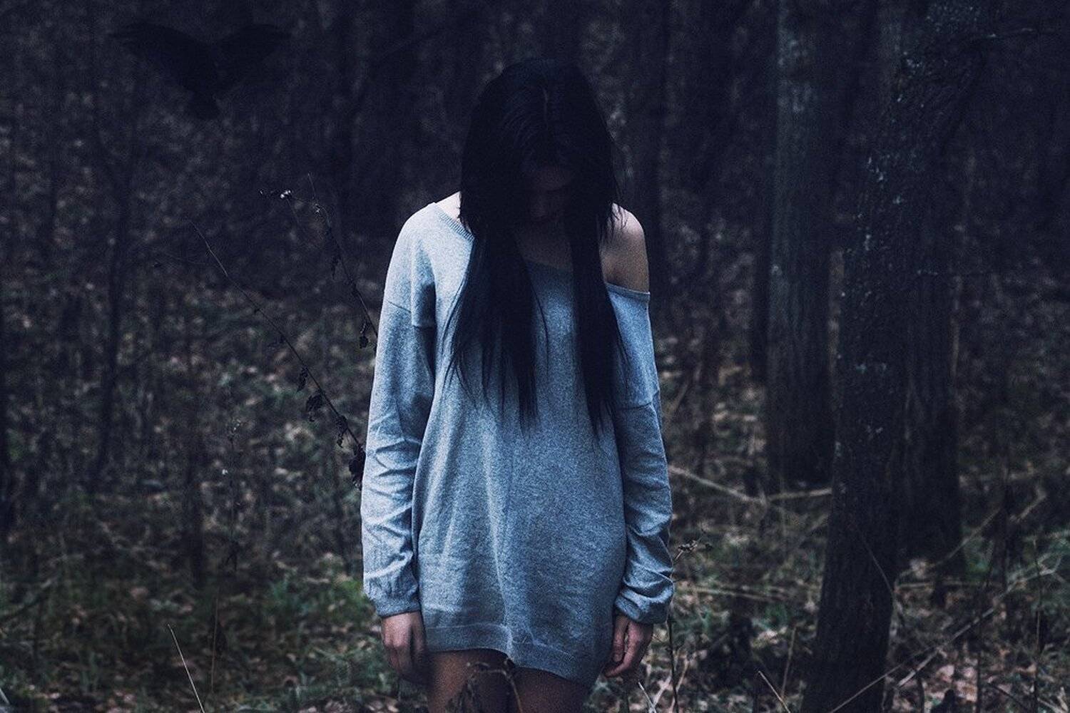 , Аникеев Сергей