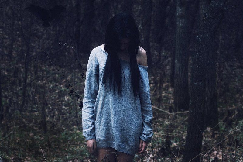 dark forest фото превью