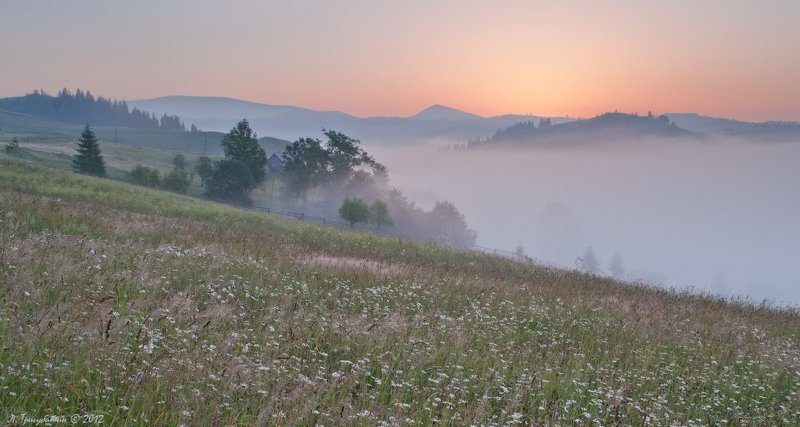 Утро в Карпатах фото превью