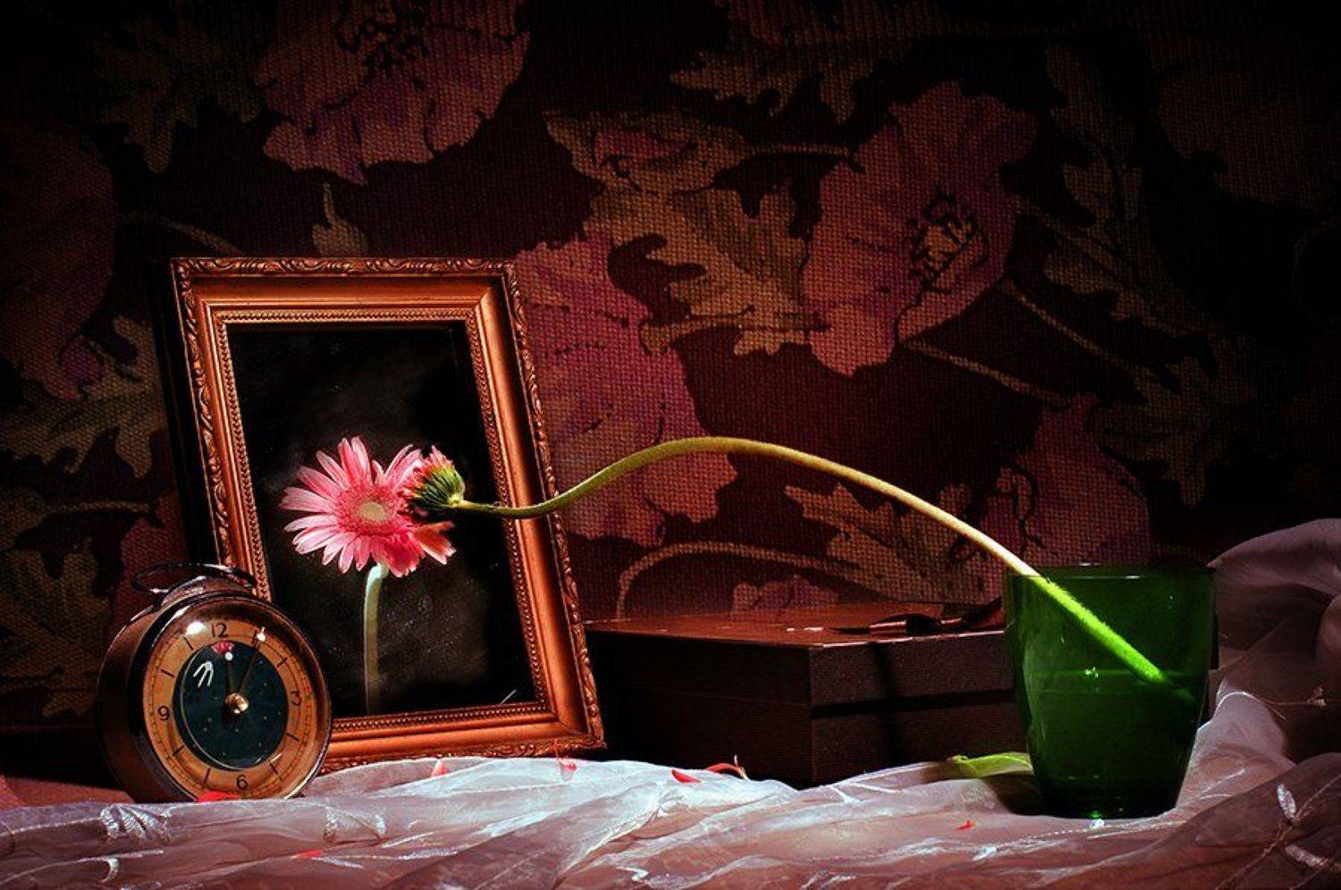 hai, вьетнам, Hai Trinh Xuan