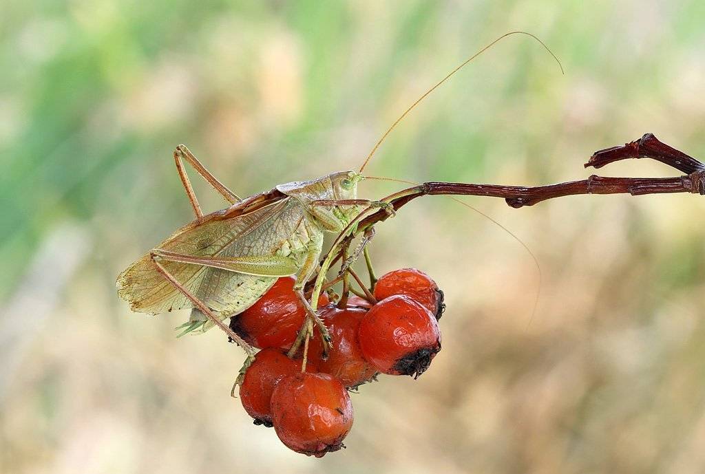 , Сергей Таланов