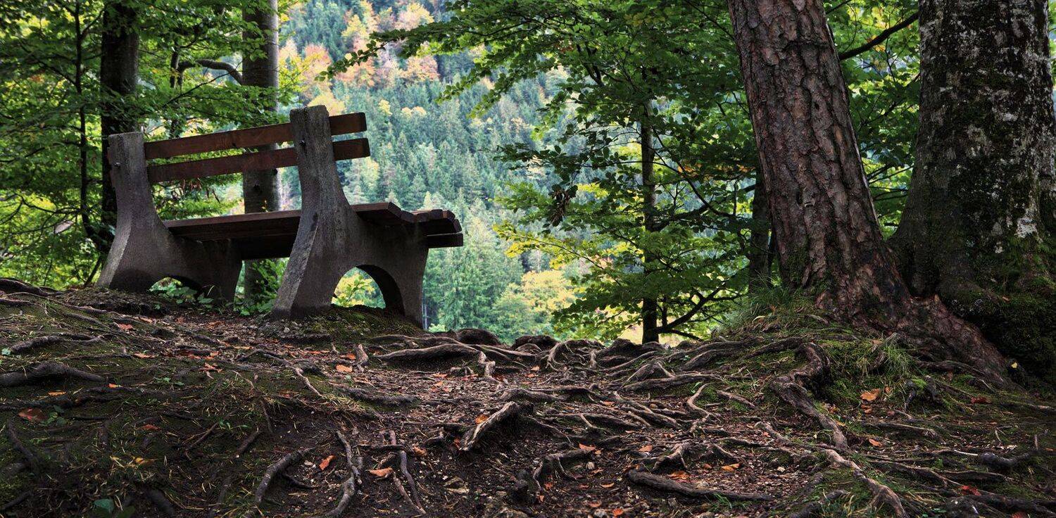 бавария., Игорь Дубровский