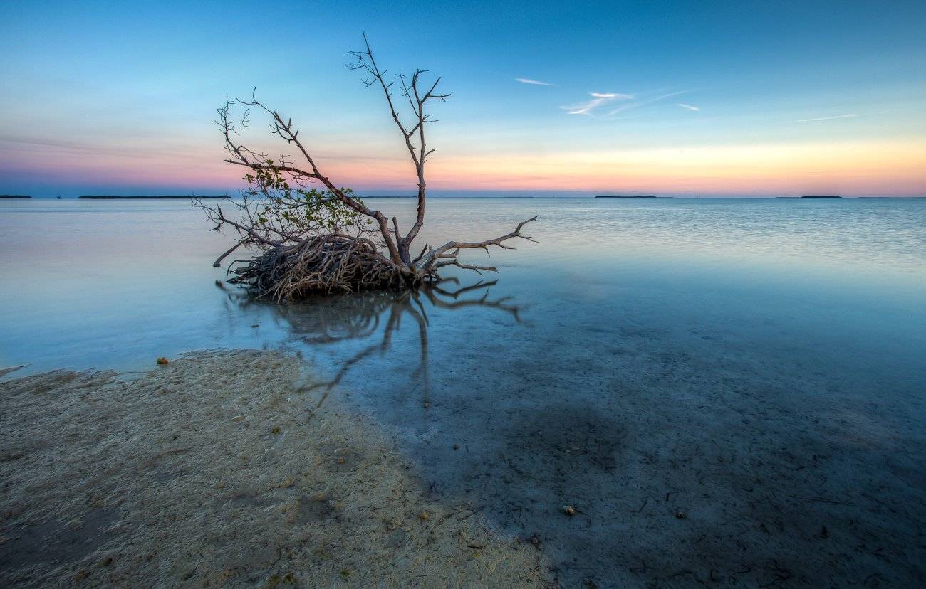 , Илья Таран