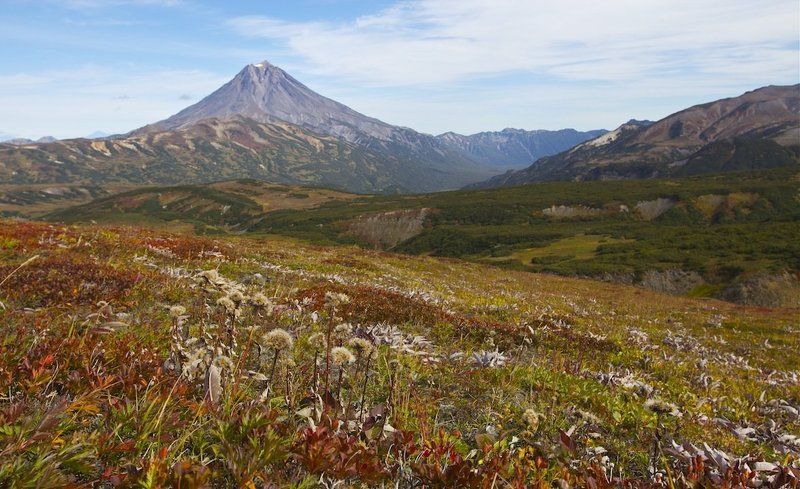камчатка, вилючинский вулкан,осень,тундра Камчатское осеннее великолепие фото превью