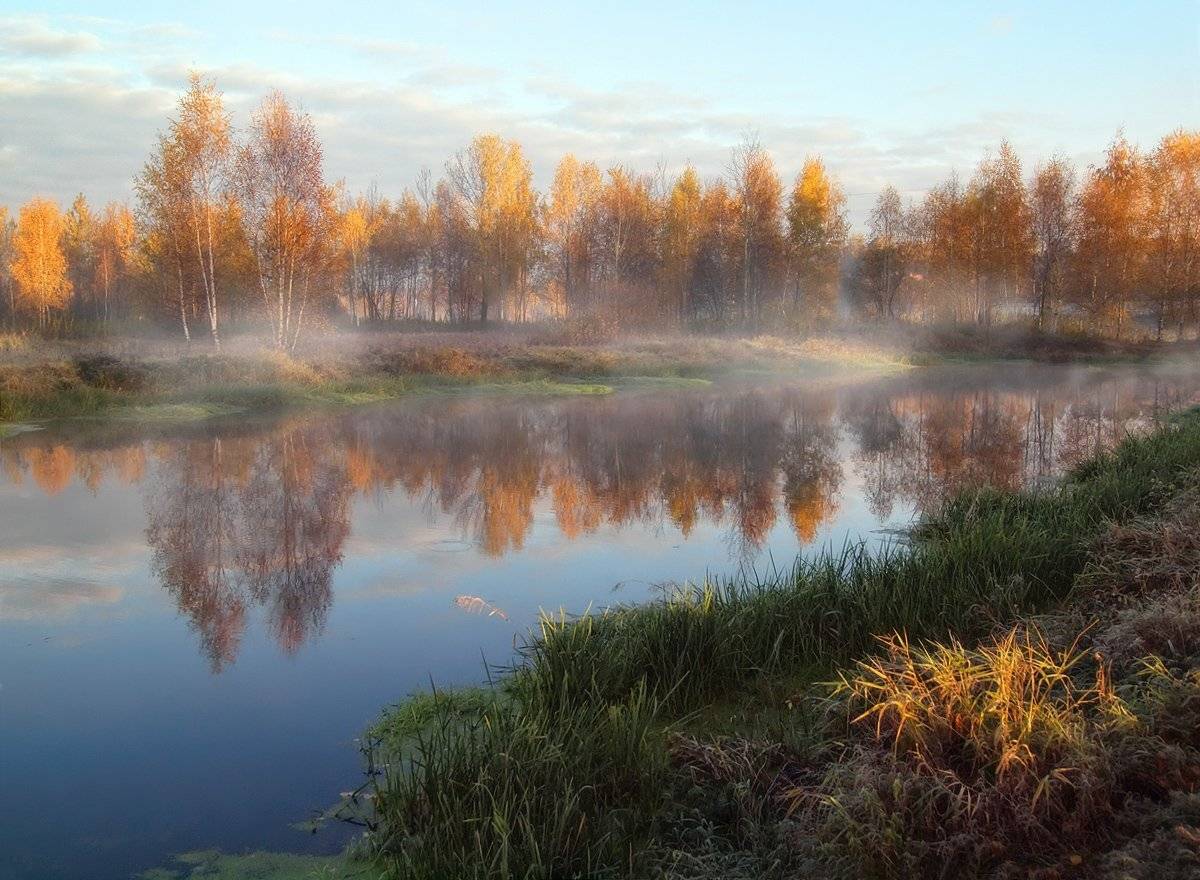 , Марина Брыдня