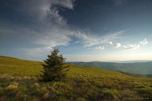 Bieszczady