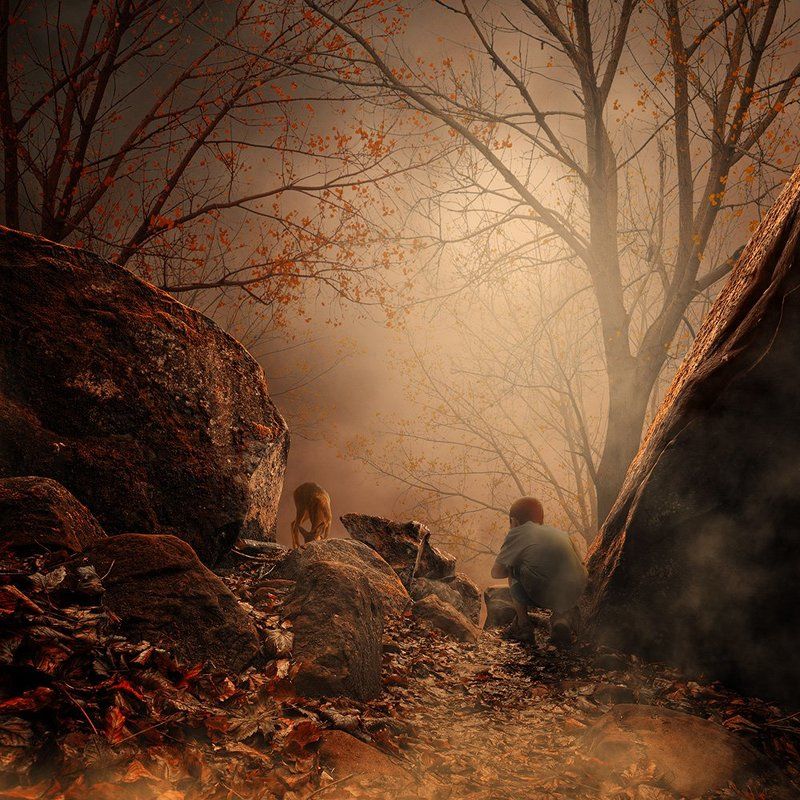 Deep story from the forest фото превью