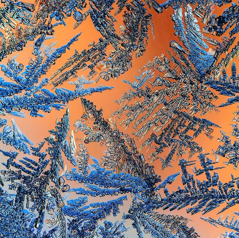 Маленькой ёлочке холодно зимой фото превью