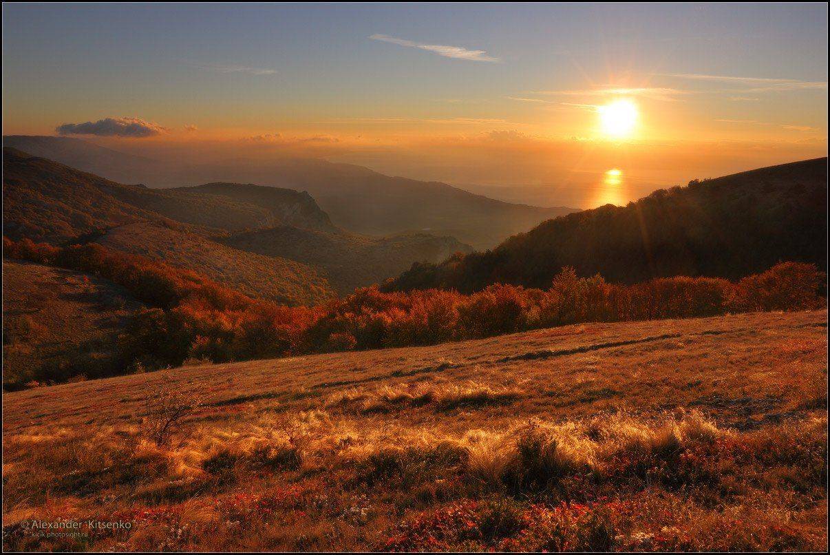 , Александр Киценко