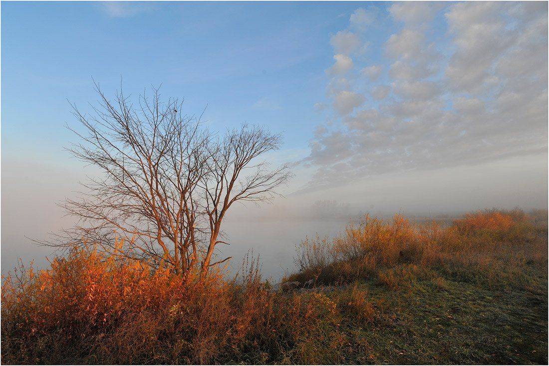 , Кутыгин Эдуард