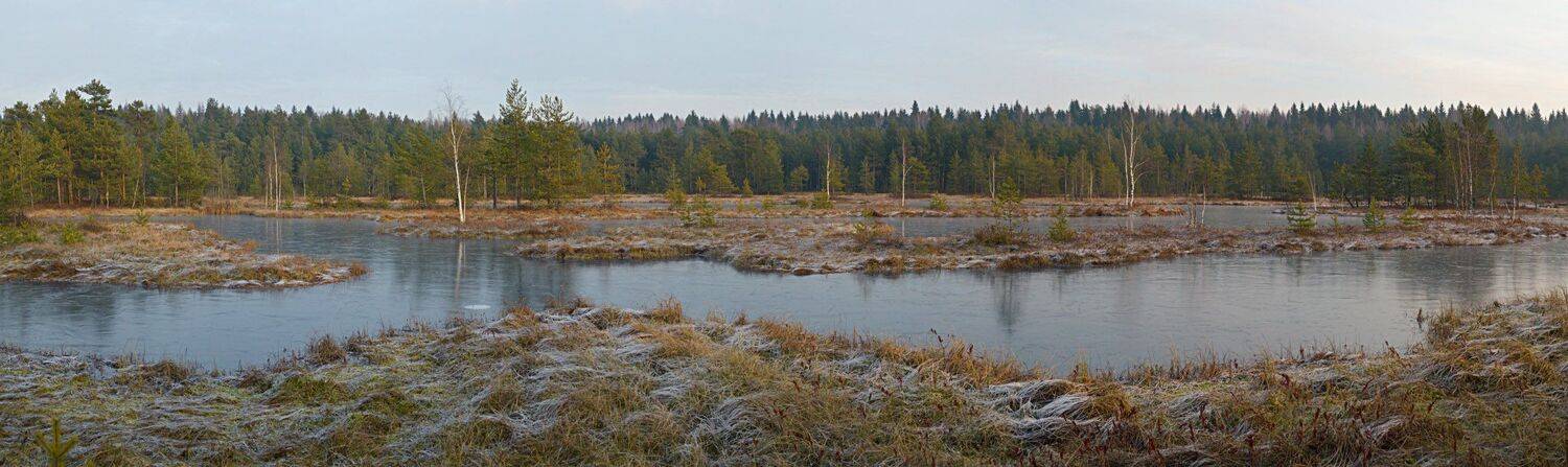 , Сергей Седов