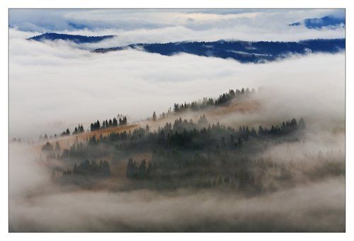 НОЯБРЬСКИЕ ТУМАНЫ КАРПАТ.