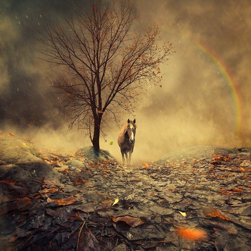 Sweet november ending фото превью