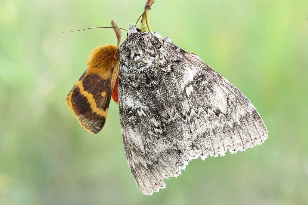 , Сергей Таланов