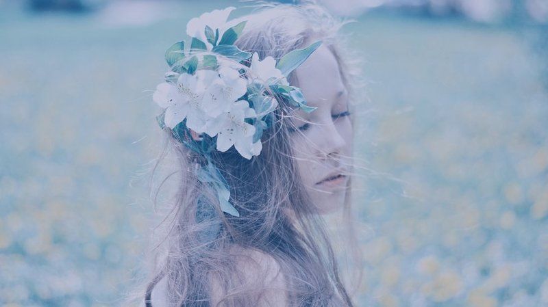 цветы, весна Flower Princess фото превью