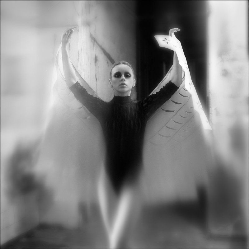 6x6,portrait *** фото превью