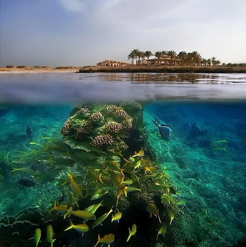 . фото превью